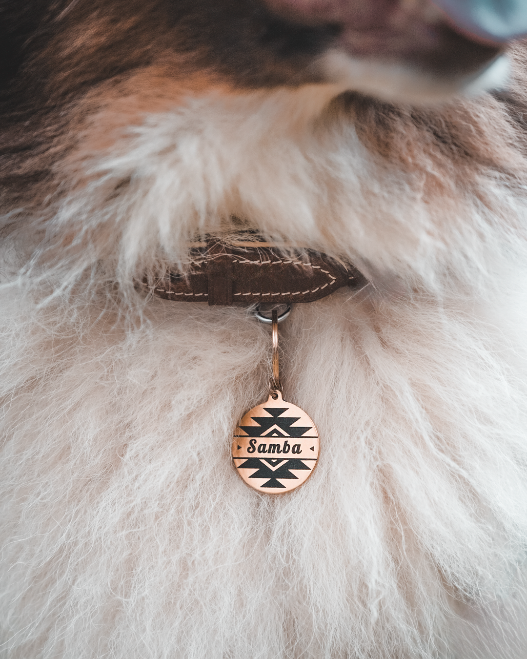 Photo-médaille-Rambo-Insta