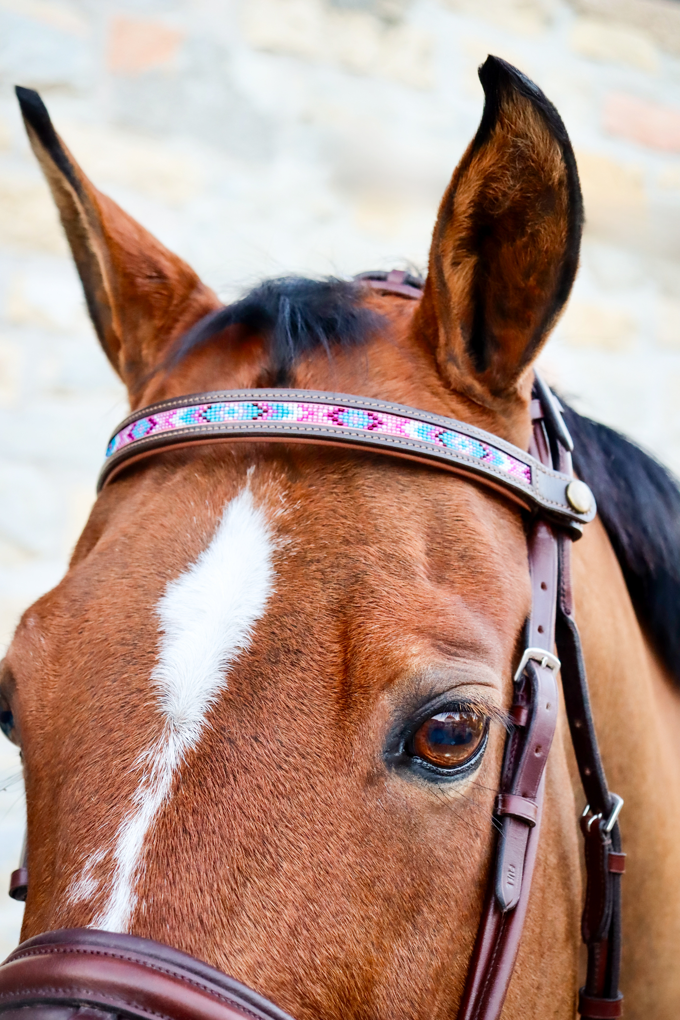 HILASON Cheval Floral Peint Main Cuir Américain Collier Poitrine Coiffe
