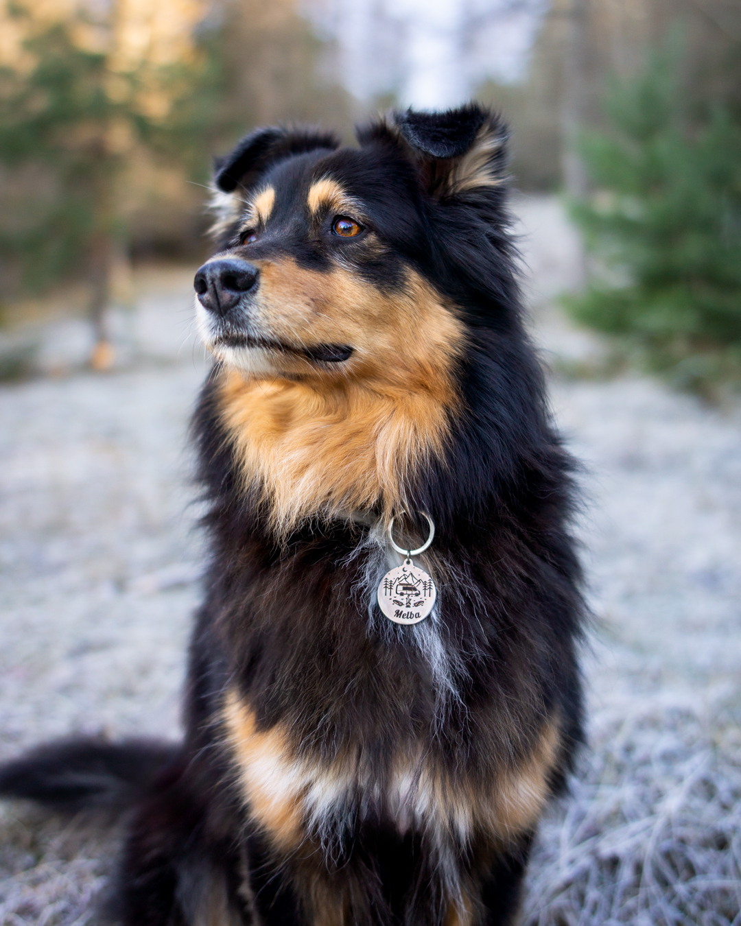 Melba-médaille-Vanlife
