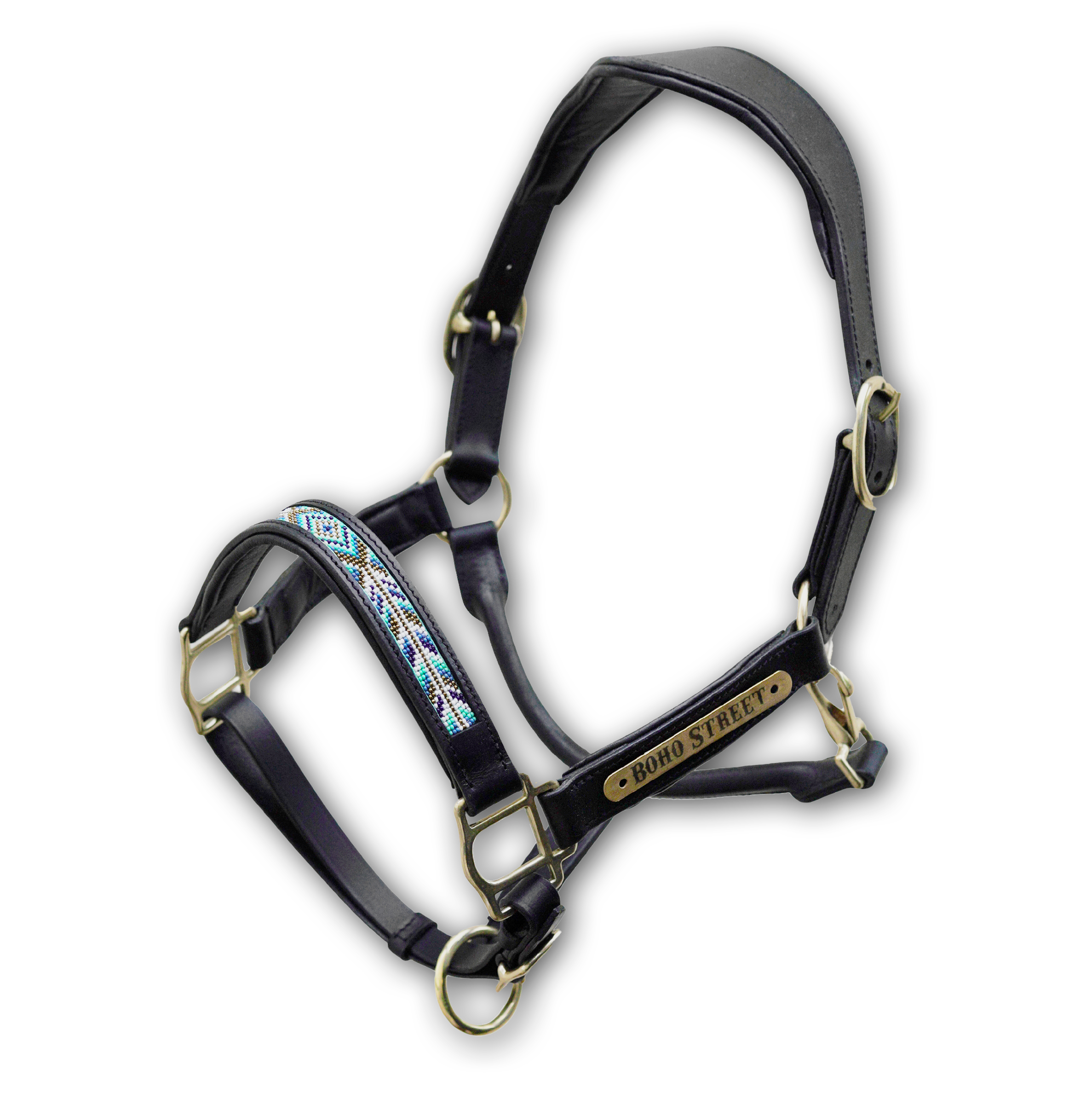 Licol-noir-TALLULAH-(fond-blc)