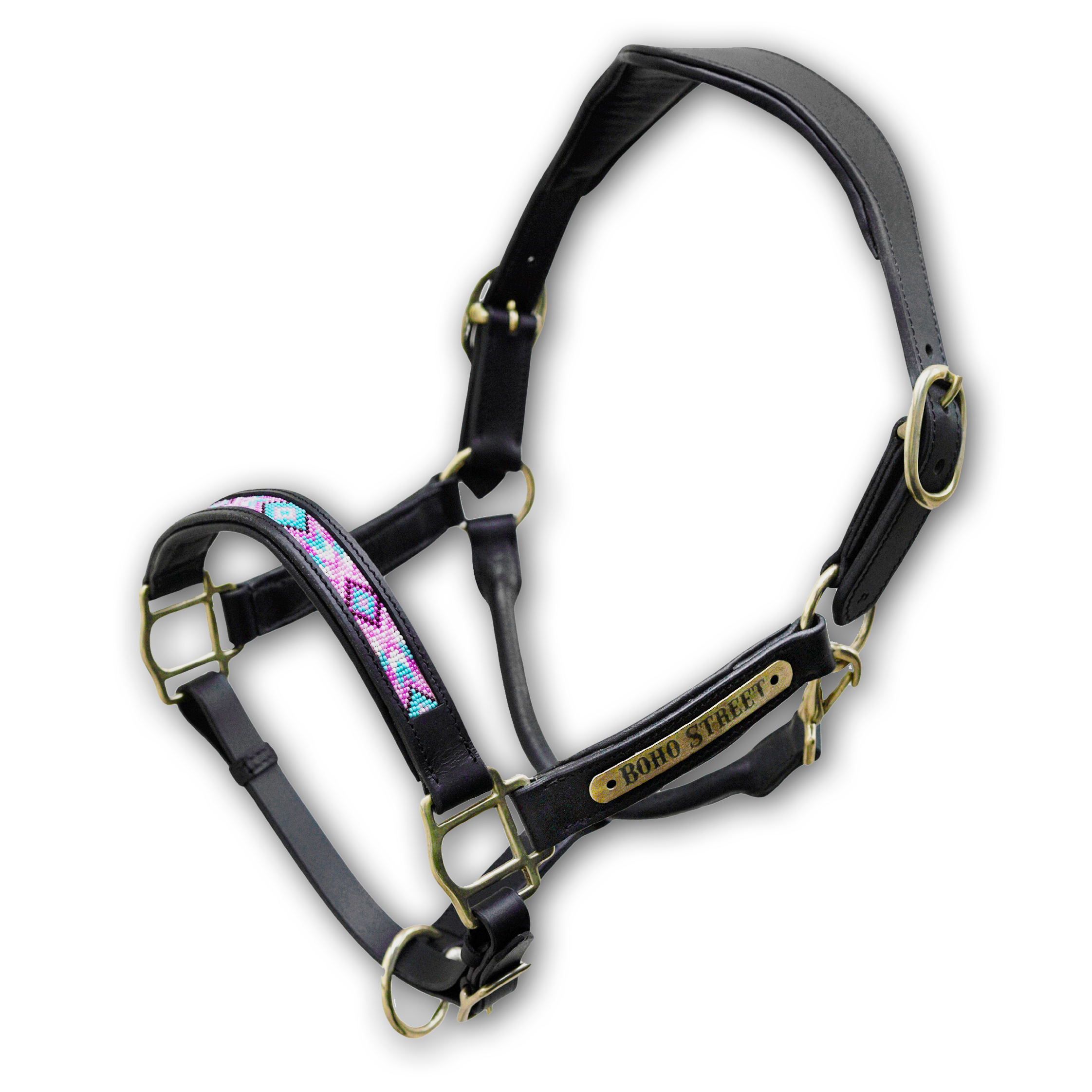 Licol-noir-LEOTIE-(fond-blc)