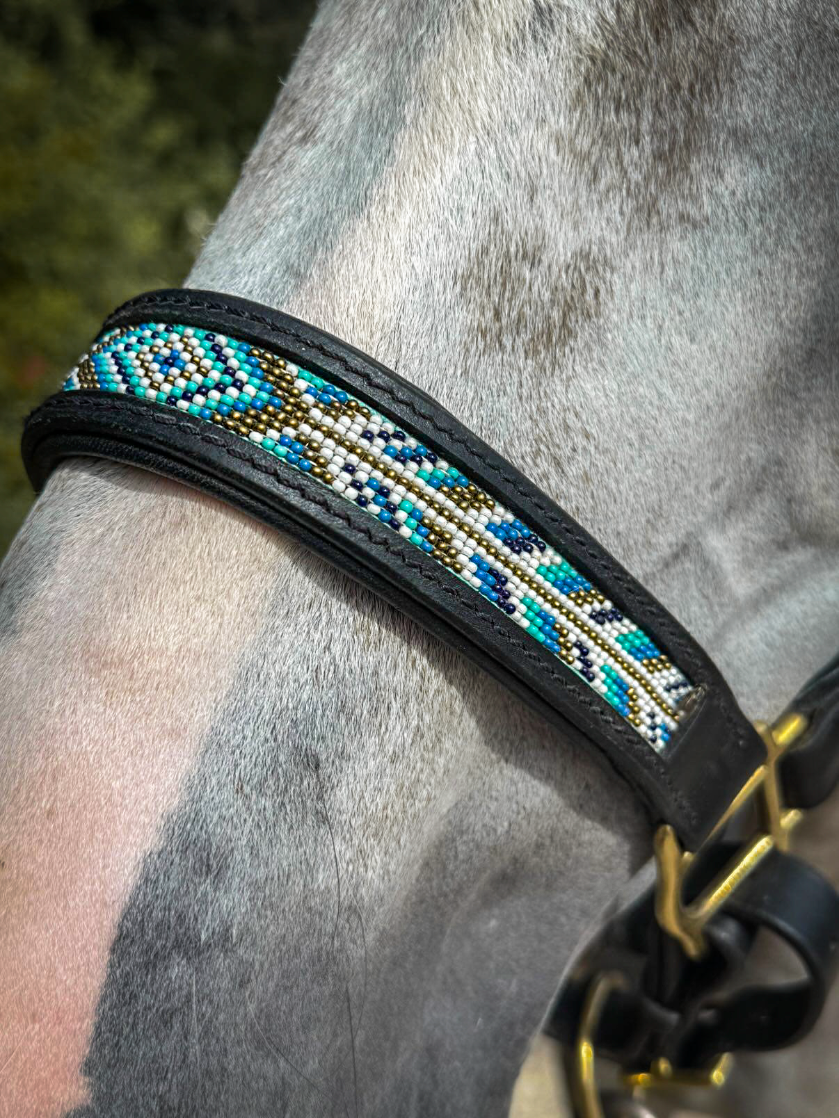 Licol-noir-Sakari-cheval-2