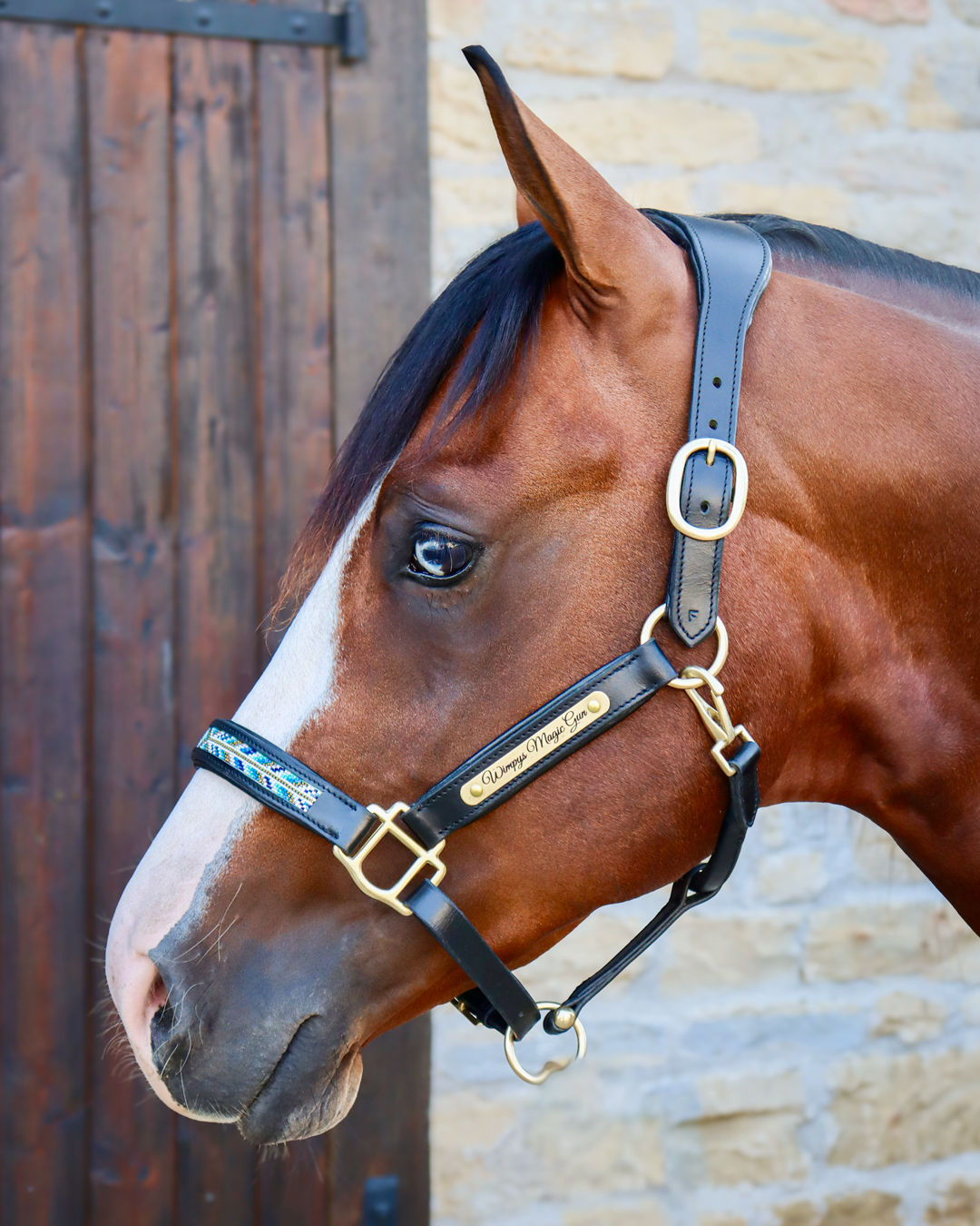 Tête De Bride Western En Cuir Véritable Hilason - Noir, Avec Perles - Pour Cheval