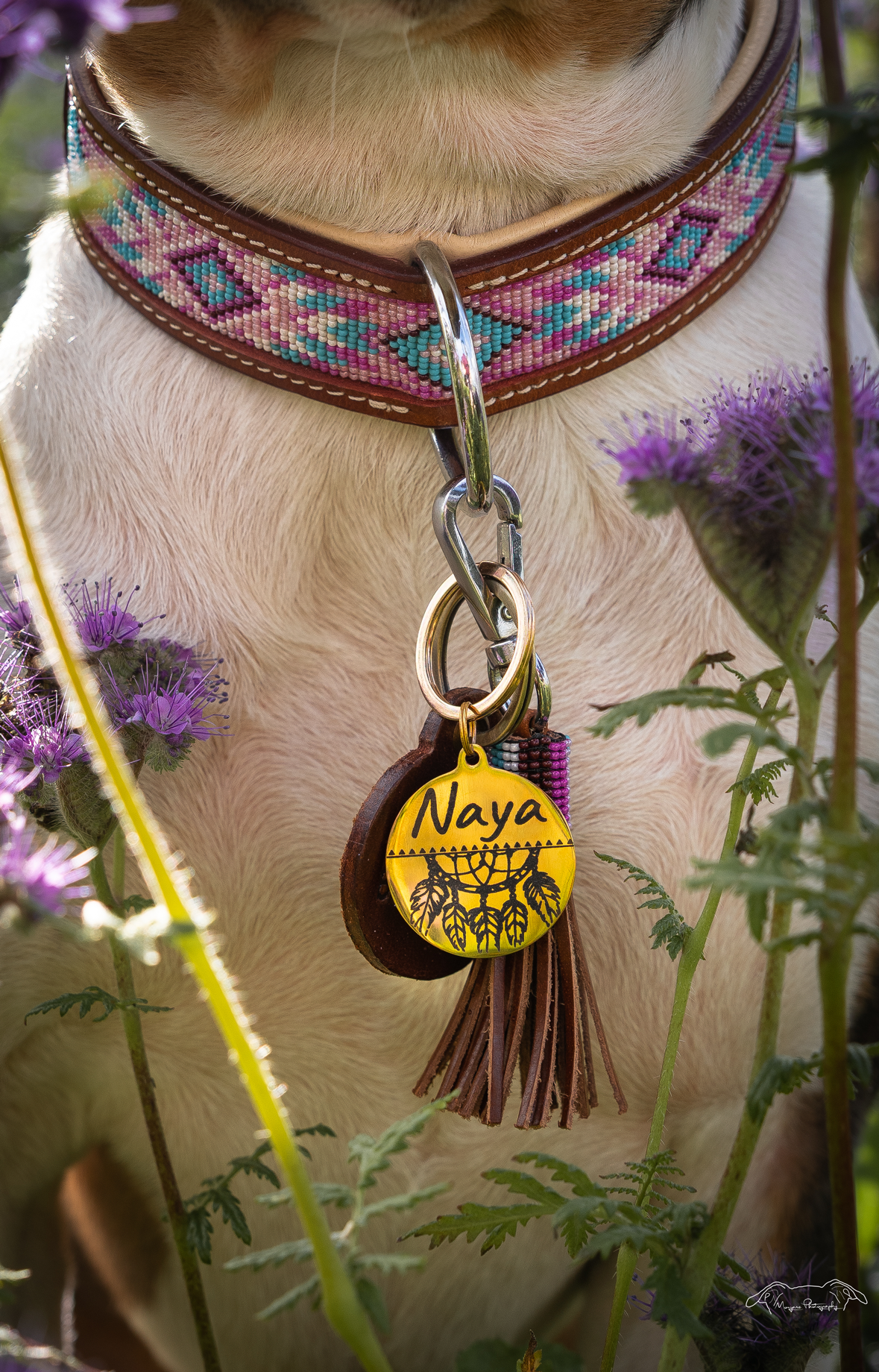 Leotie-Naya-1