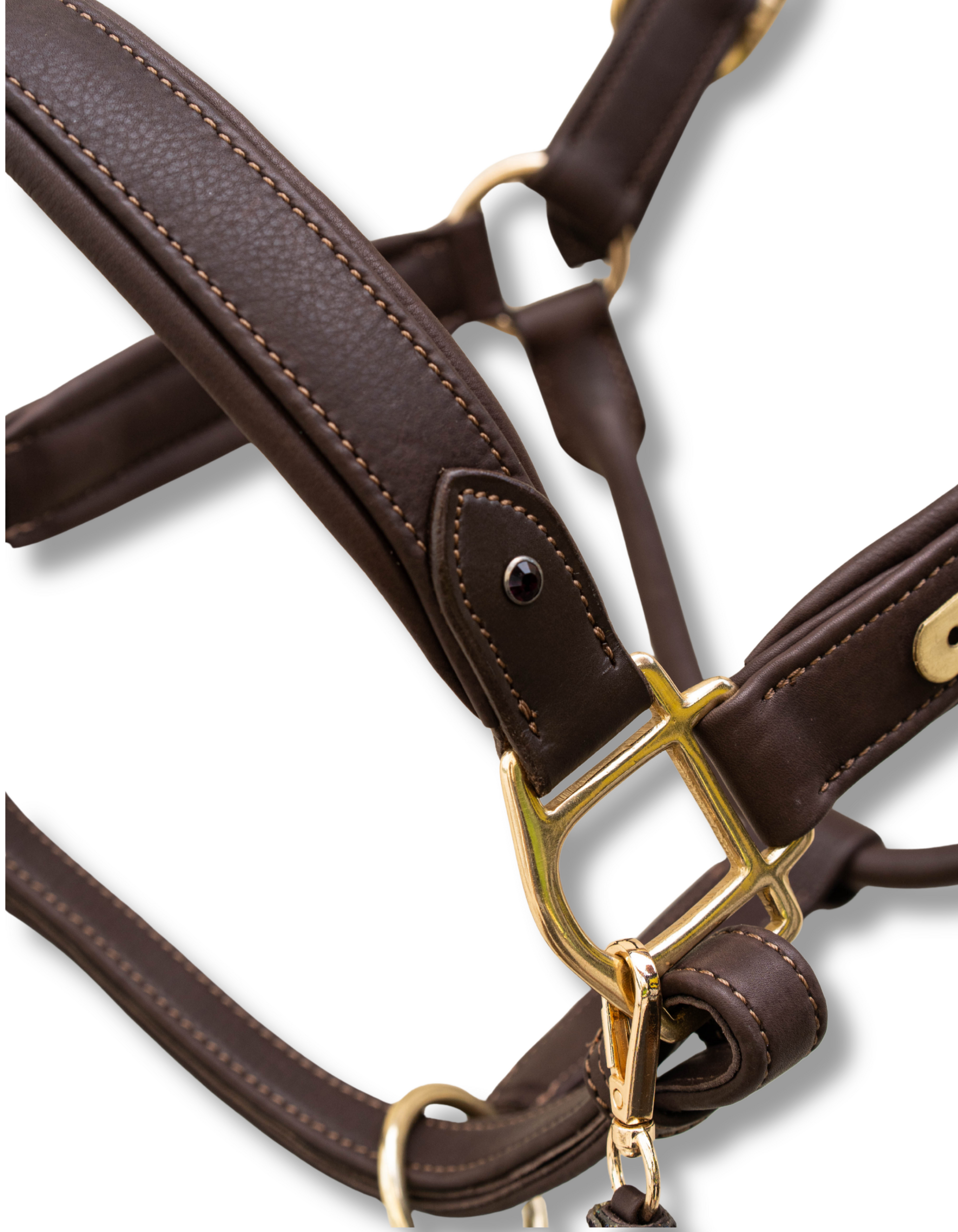 Marron 2