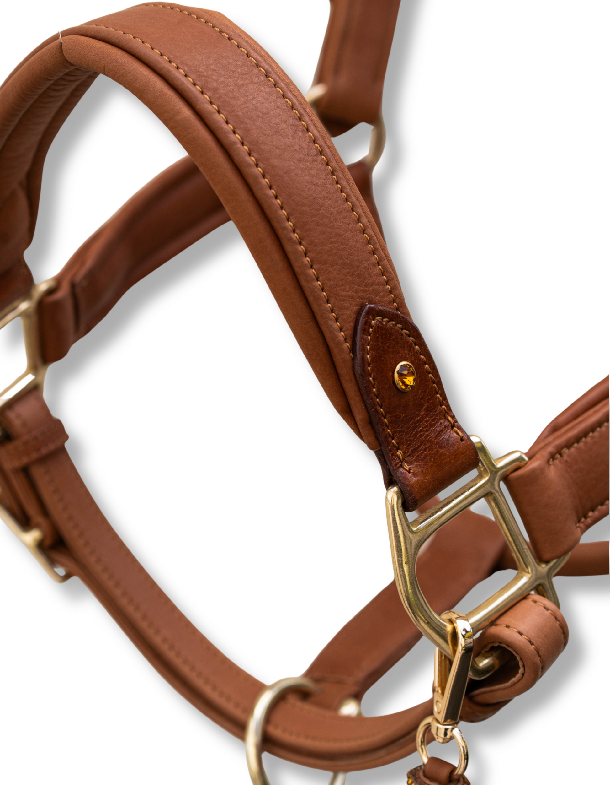 Cognac 2