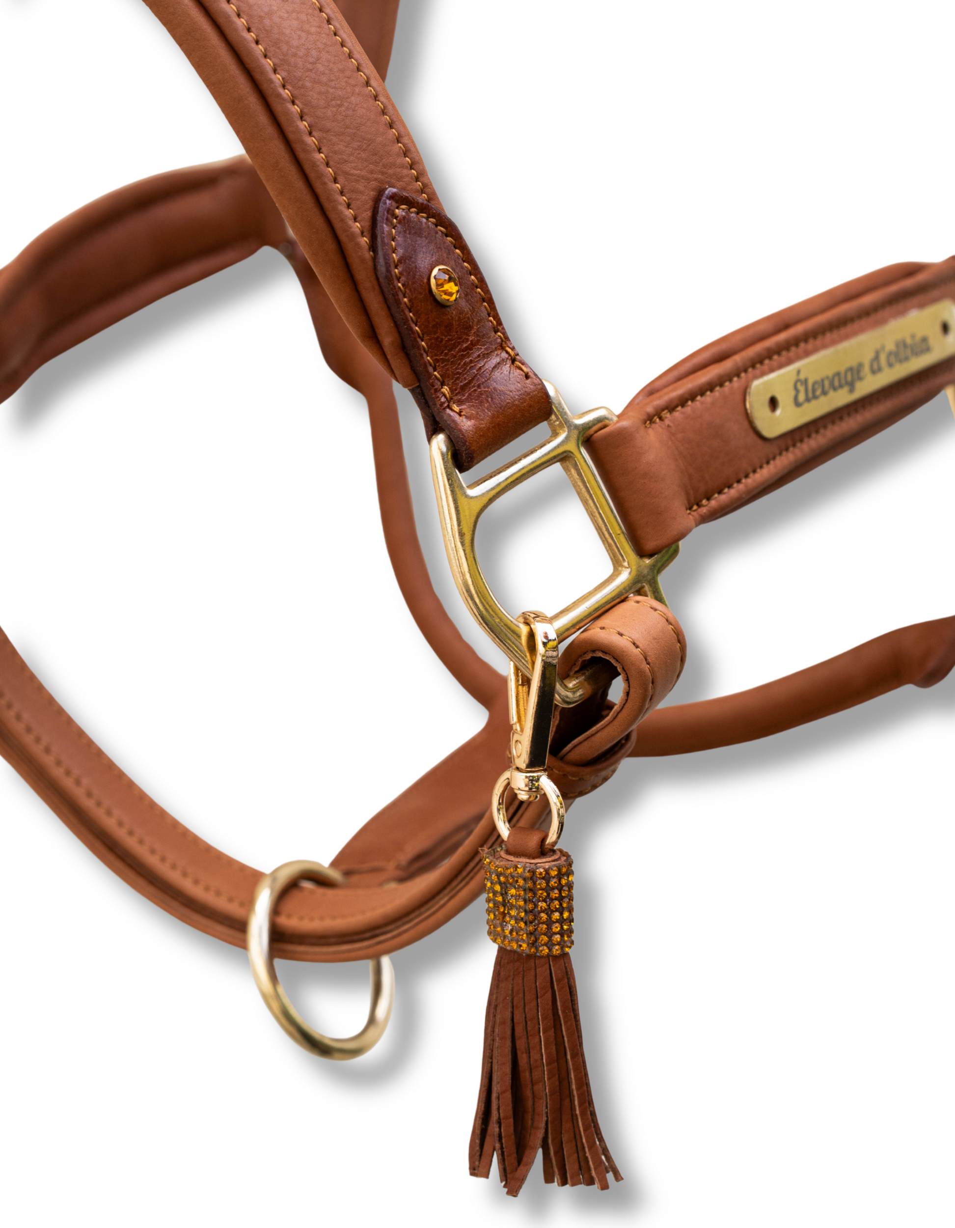 Cognac 3
