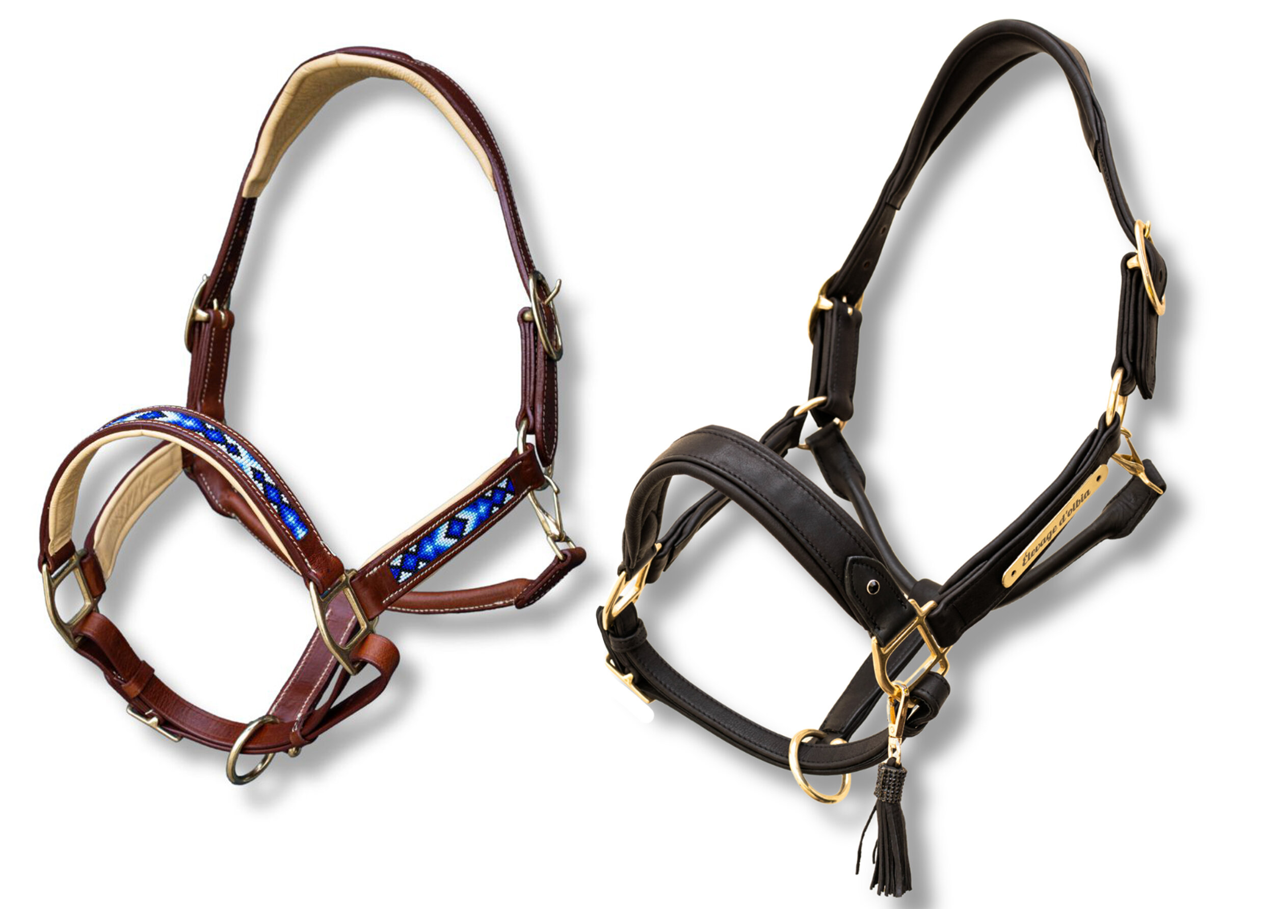 visuels licols chevaux 2