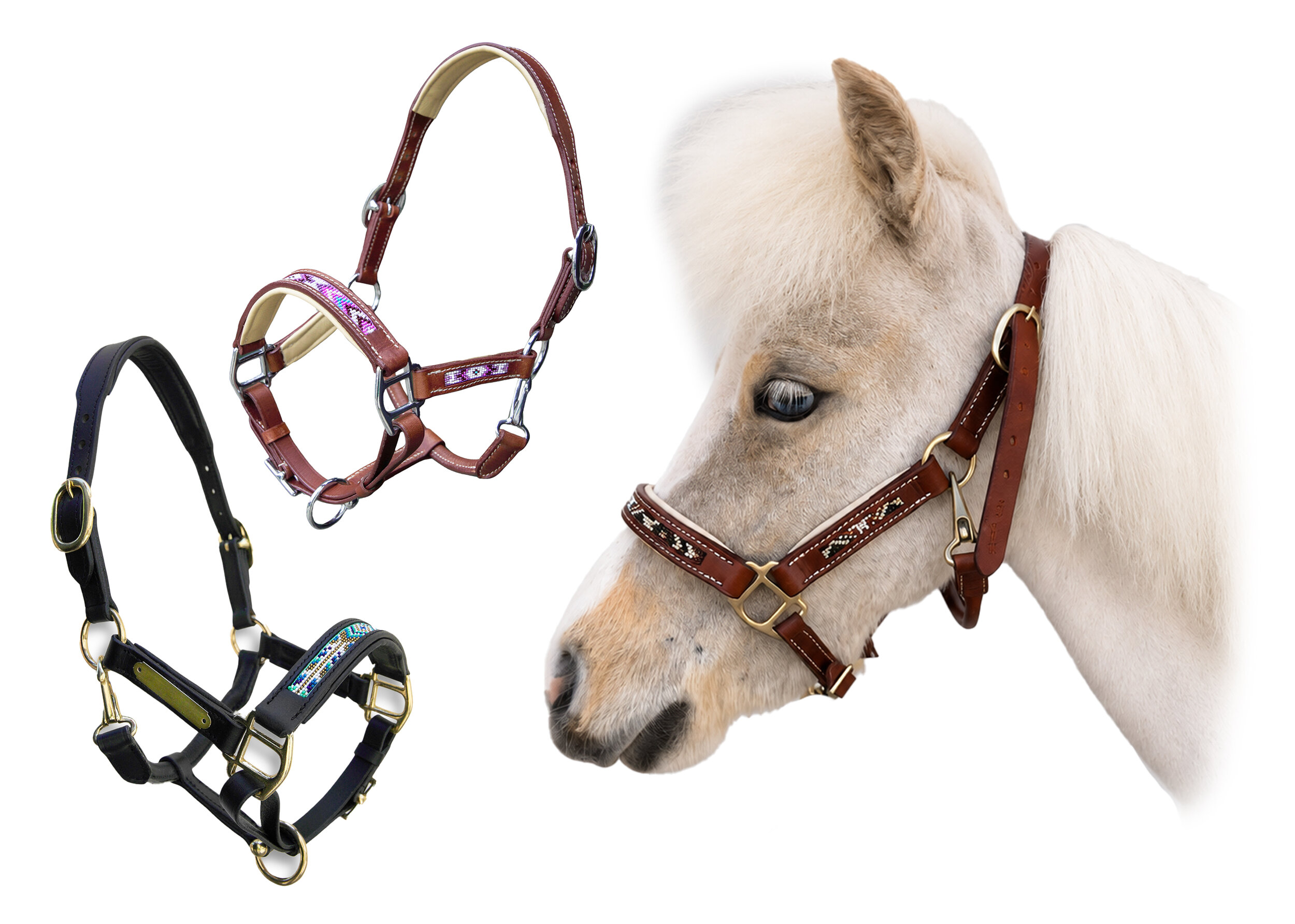 visuels licols chevaux mini