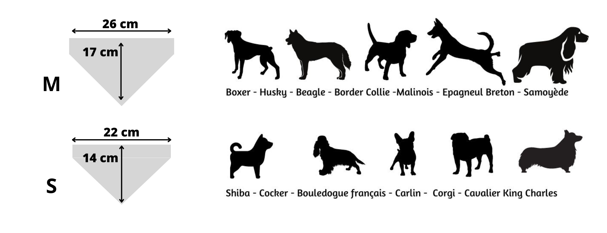 Comment choisir la bonne taille de bandana pour son chien