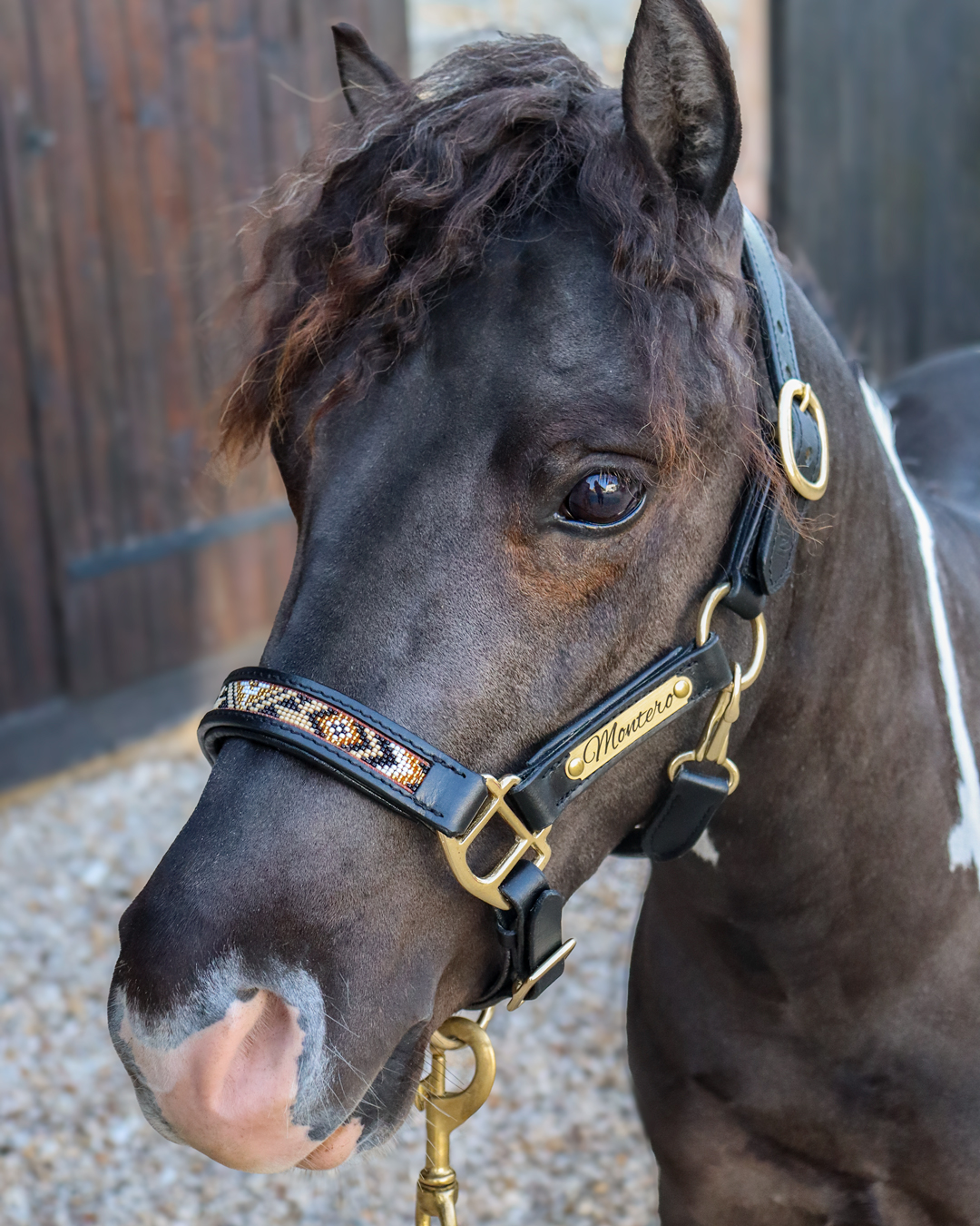 Cheval’s – Collar de pecho de ohair occidental hecho a ano para