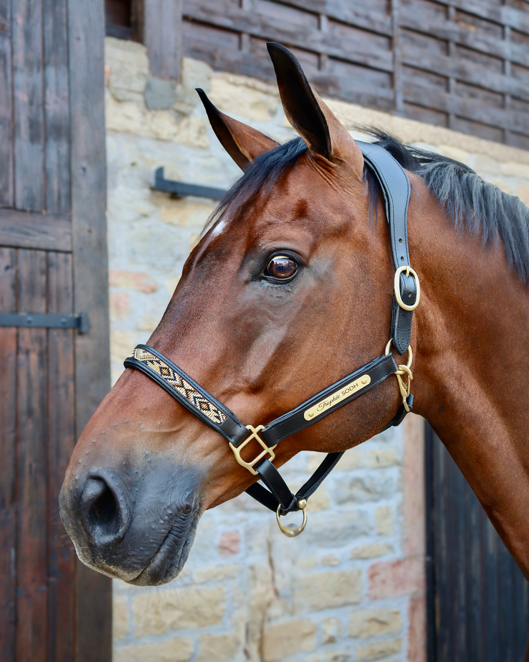 Cheval's Collier de poitrine en mohair occidental fait à la main pour cheval, collier d'équitation pour chevaux - (MB 5 - complèt