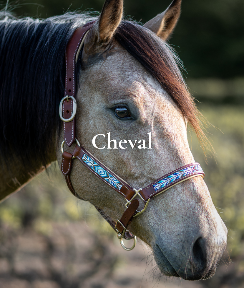 CHEVAUX