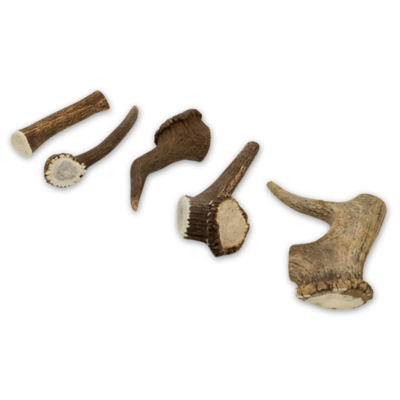 Bois cerf