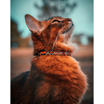 Senja collier boho