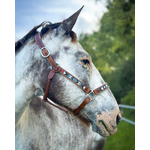 Cheval licol TALLULAH 4