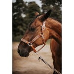 Licol KIONA cheval 3
