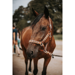 Licol KIONA cheval 2