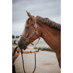 Licol YAHTO cheval 3