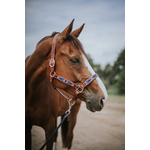 Licol YAHTO cheval 2