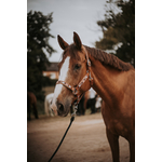 Licol DAKOTA cheval 3