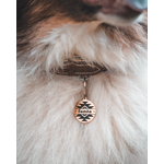 Photo-médaille-Rambo-Insta
