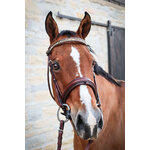 Frontal-Kiona-1