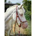 Cheval-blanc-licol-Aponi-2