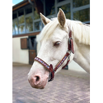 Cheval-blanc-licol-Aponi