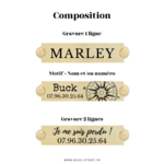 Compo plaque collier