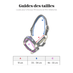 Guides des tailles