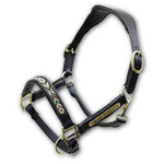 Licol-noir-NAHELE-(fond-blc)