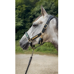 Licol-noir-Sakari-cheval