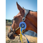 Licol-noir-Sakari-cheval-3