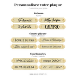 Plaques gravée collierlicol