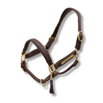 Marron foncé