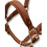 Cognac 2