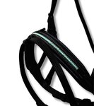 Filet 2 noir TALLULAH muserole