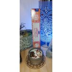 IMG_20240116_181950