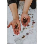 Fruits Rouges Et Verts Sur Le Palmier De Personnes