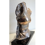 7-b- Ferrando Feminité Bronze poli  Vue côté droit 45 x 30 x 15 sur marbre noir 37 x 16 x 2,5 - 13,5kg- -