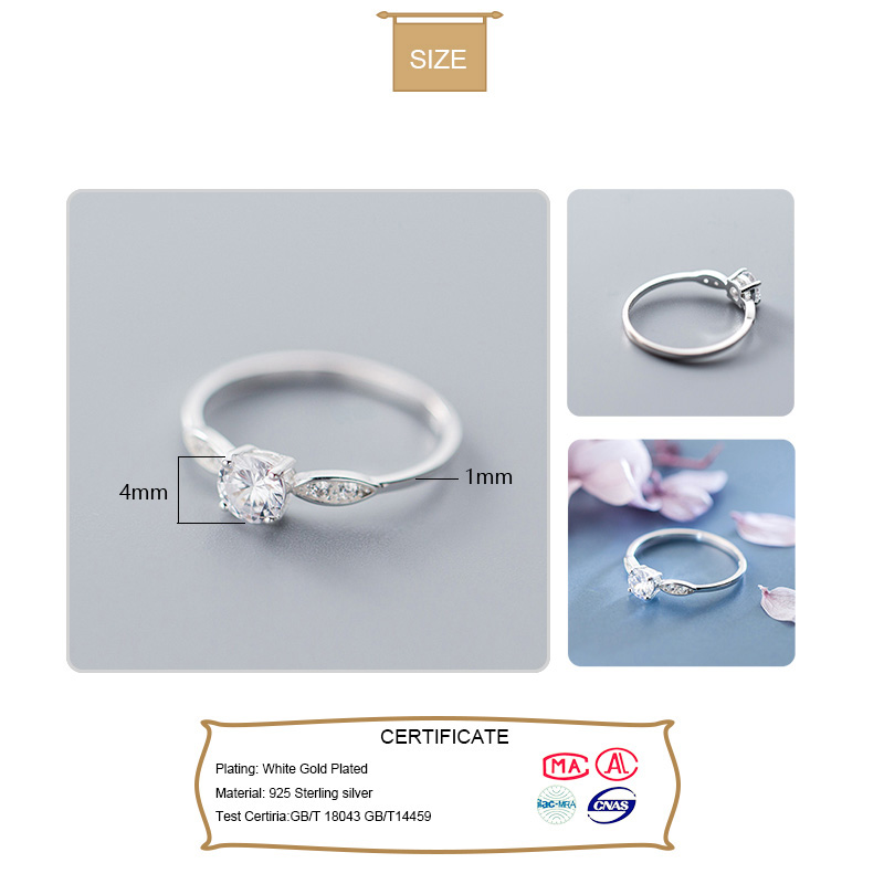 VENTE FLASH ! Bague D'Alimentation Bala 10 Lb (Sage Green) – NEUF, Silicone & Acier