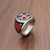 Bague-Punk-en-argent-pour-hommes-anneau-de-chevalier-temple-Zircon-croix-rouge-en-poxy-noir