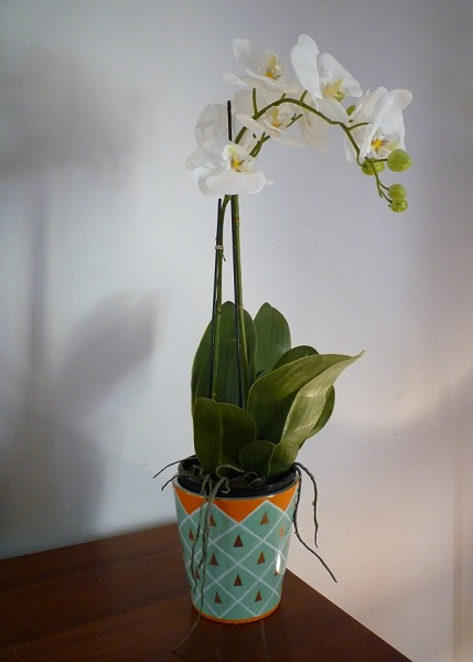 vase_triangle_or_600px