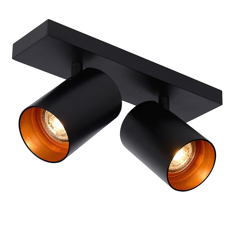2_spots_noirs_plafond