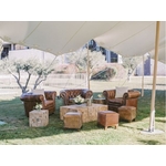 fauteuils_cuirs_capitonnes