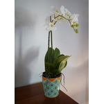 vase_triangle_or_600px