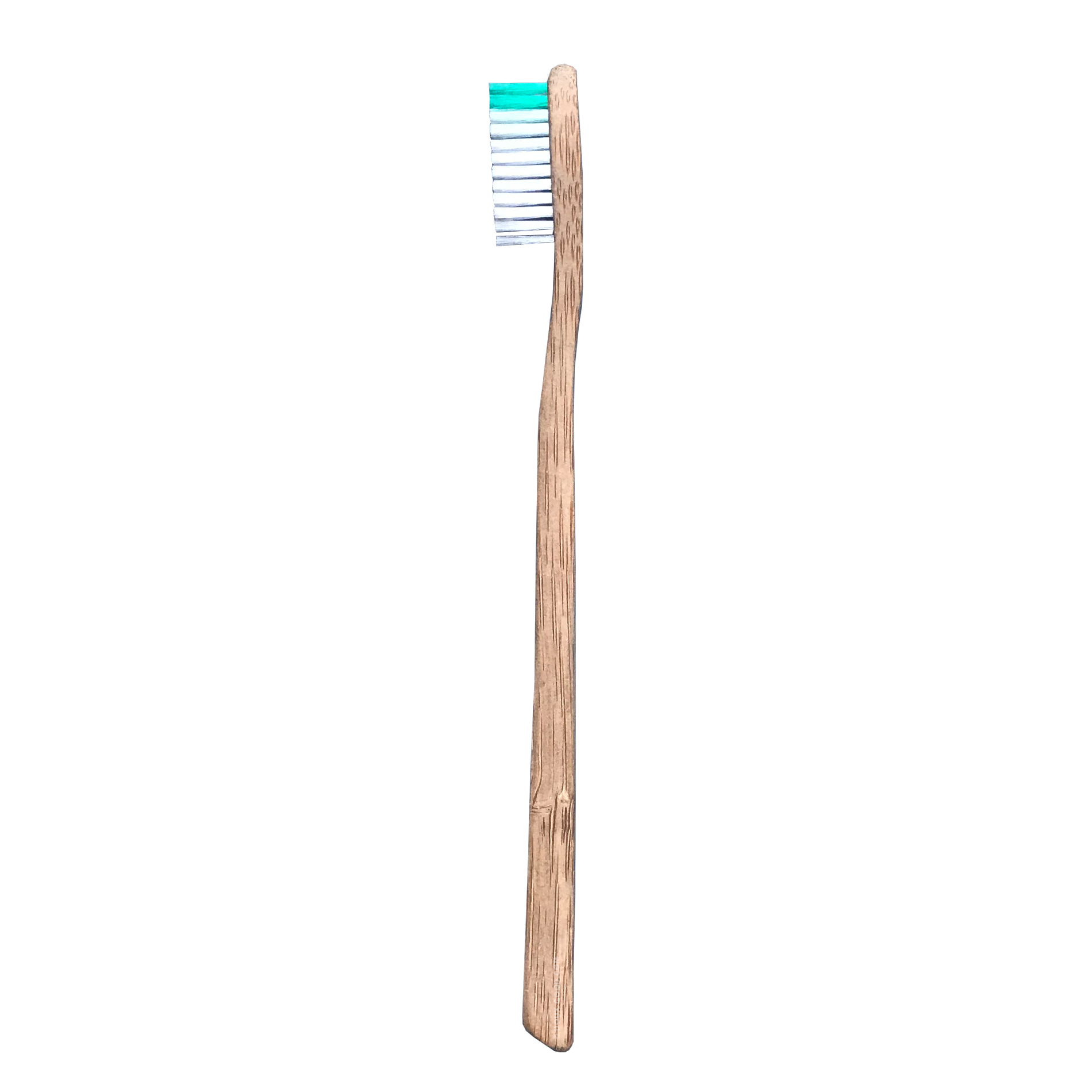 My Boo Company - brosse à dents en bambou - Adulte medium - Vert