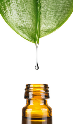 Complexes d'huiles essentielles bio Océante
