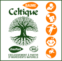 LOGO-CELTIQUE2